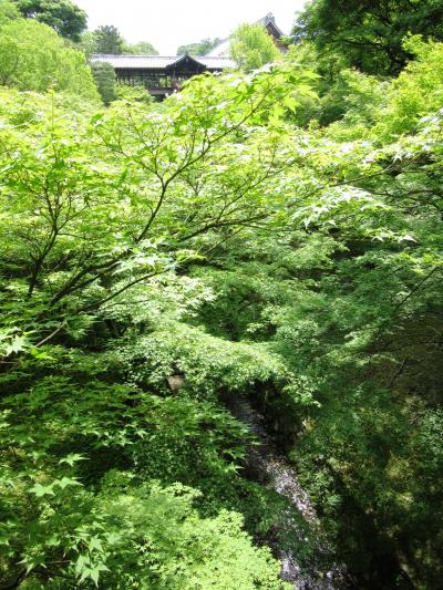 新緑とおいしいもの☆