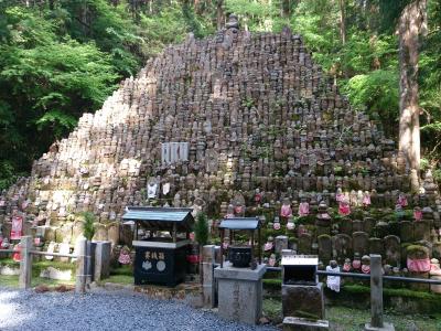 「和歌山あるくさんぽ」　荘厳!"高野山"編 (和歌山県高野町)