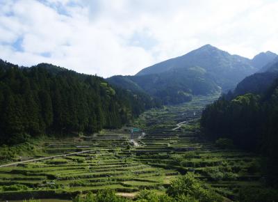 四谷 千枚田(新城市) : Network2010.org