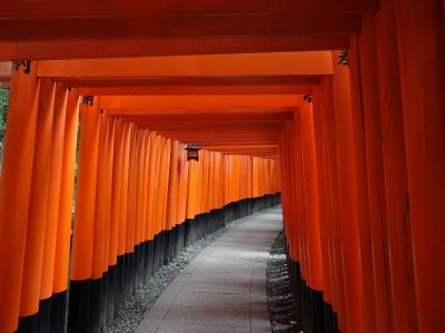 京都カフェと千本鳥居の旅