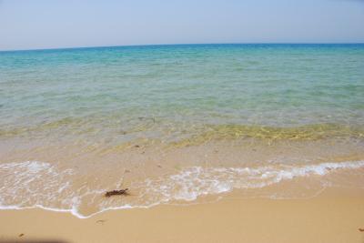 前略、K.K様　ずっとあなたが好きでした・・・・・・・。Early Summer Seaside of Fukuoka編。