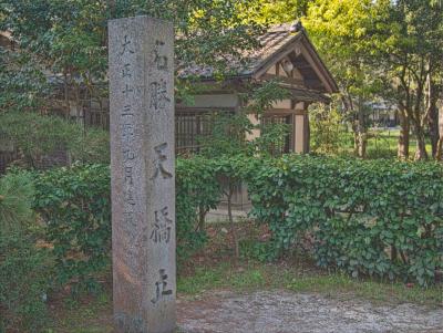 天の橋立　わが家のワンコと海