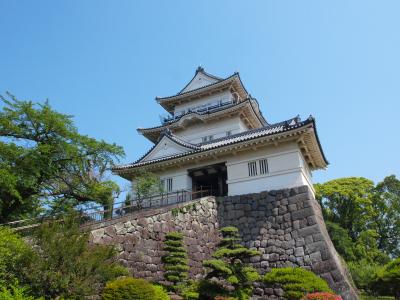 神奈川一人旅前編～小田原城の敷地を歩いて歴史探索しよう～