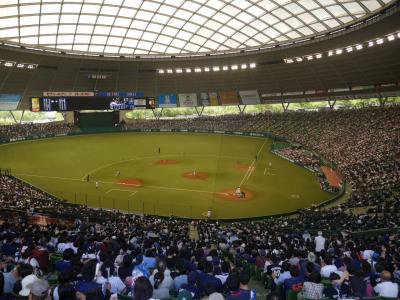 西武ライオンズVS.中日ドラゴンズ☆西武ドームの三塁側はホーム　西武ファンに囲まれてドラゴンズを応援☆2014/05/31