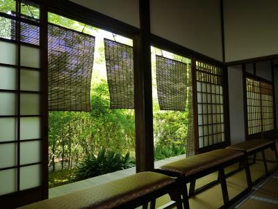 新緑を求めて・・・京都散歩♪