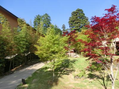 1歳子鉄と行く箱根・箱根翠松園編