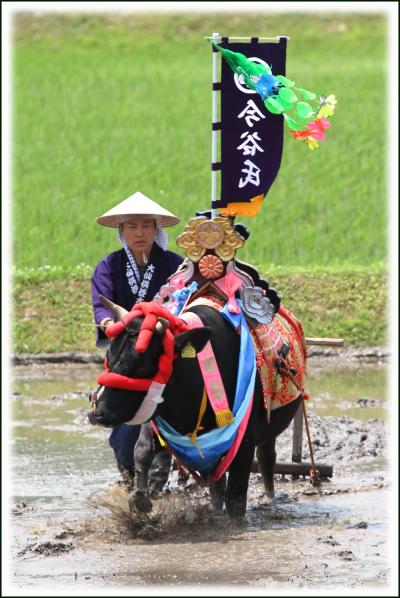 Solitary Journey ［1393］ 中国山地は花田植えラッシュ！古くから伝わる民俗芸能を再現＜大土山田楽大花田植＞広島県安芸高田市