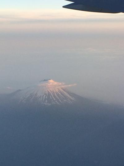 2014年５月ハノイへ☆久々の成田第2ターミナル　&　機内