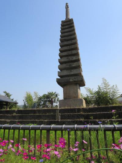 家族で行く般若寺☆５月なのに、コスモスが楽しめました～(^o^)／