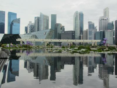 初めてのシンガポール 一人旅です。ちょっぴり上海。 その①