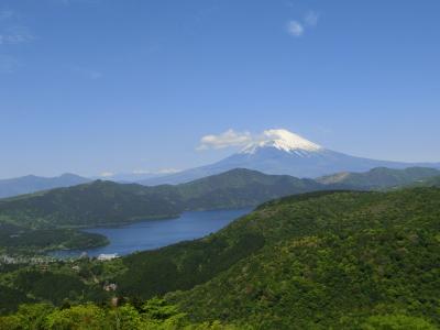 箱根ターンパイクでサルを見たのだ！【箱根ターンパイク　車窓の景色】大観山からの富士山の眺めも最高！