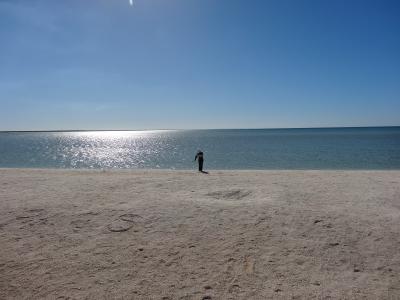 ドライブ パース~ピナクルズ~カルバリ~ピンクレイク~シェルビーチ~ニューノーシア~スワンバレー