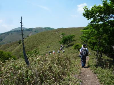 竜ヶ岳前衛峰大鉢山から遠足尾根へ　シロヤシオは？