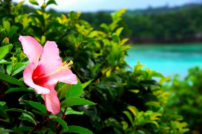 白い空、白い海、白い砂浜　～梅雨入り直前八重山旅行　１日目～