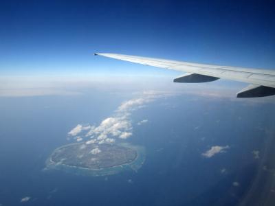 ジンベエジェットを横目に。