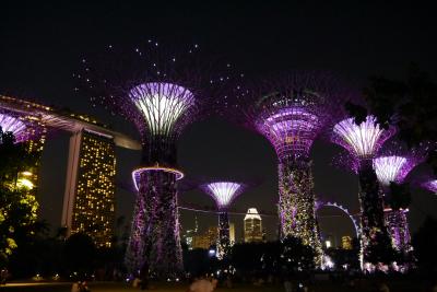 6年ぶりのシンガポール~⑤リトルインディア散策と念願のガーデンズバイザベイとク・デ・タでカクテル&夜景~