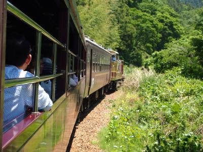 風が心地いい～(*^。^*)　わたらせ渓谷鐡道のトロッコ列車と足尾銅山