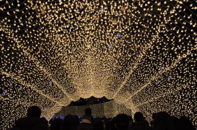 【2013春休み】みーたんウィンターイルミネーションを見に行く!の巻