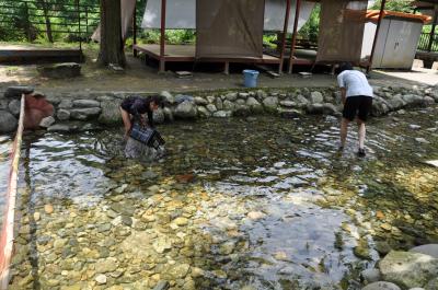 みーたん鮎狩り場に行く！ の巻き