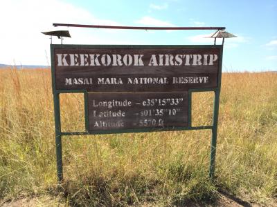 ケニア・マサイマラまで動物を見に行く（４）　ケニアから新ドーハ空港経由で日本へ帰国