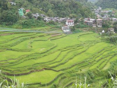 じじいのフィリピン一人旅（１）