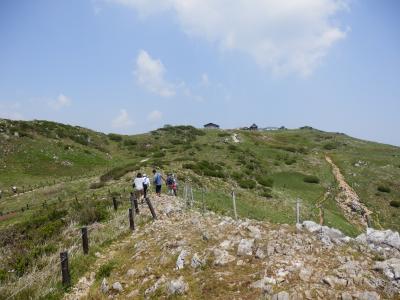 お花畑の伊吹山ハイキング（百名山４５座目）と関ヶ原古戦場跡や長浜城跡見学～♪