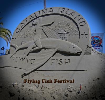 カタリナ島：　飛び魚祭　 Flying Fish Festival