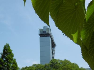 花フェスタ記念公園・・・・花のタワーに上って♪緑のシャワーで森林浴～