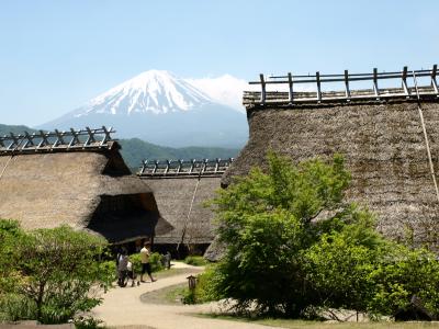 河口湖・西湖周遊レトロバスで行く富士山！day-2　茅葺民家と富士山
