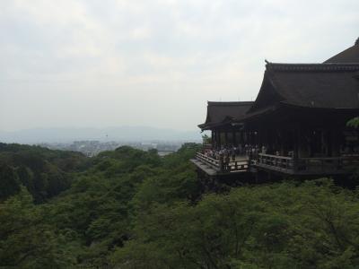 京都へ行って来ました。