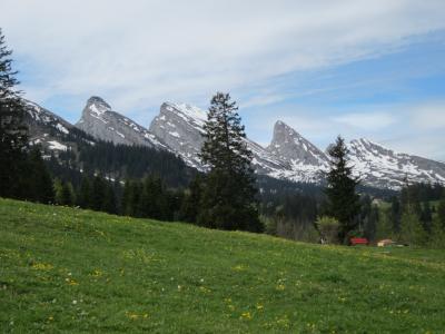 スイスパスを使って思いっきり楽しむ！③クールフィルシュテン､△の山