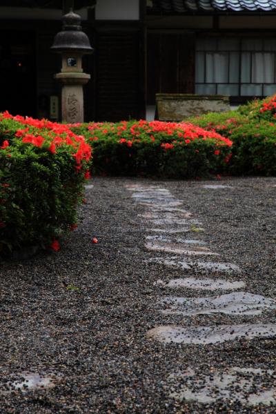 滋賀　花寺めぐり～大池寺、雲迎寺