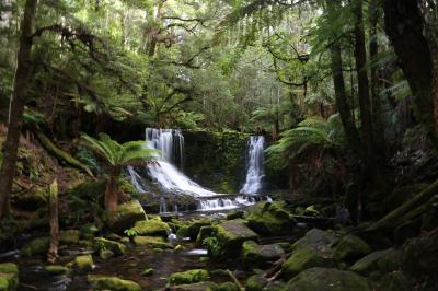 Wild & Fresh Tasmania 2014 秋 8日目前半 (ホバート～マウントフィールド国立公園)