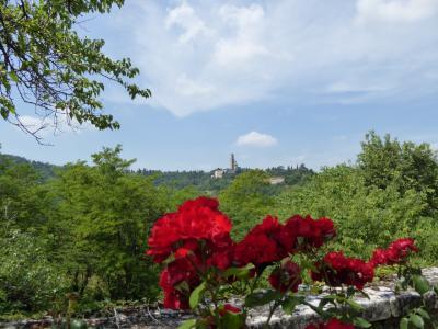初夏の優雅な北イタリア旅行♪　Ｖｏｌ５４（第４日目午前）　☆ヴィチェンツァ（Vicenza)：美しい「ヴィラ・アイ・ナーニ」（Villa Ai Nani)の素晴らしい庭園を鑑賞♪