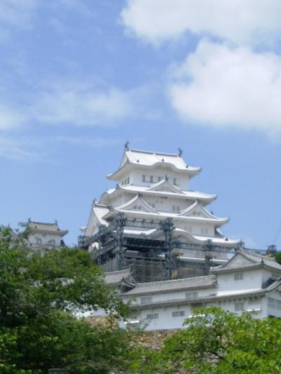 姫路城はシロです。