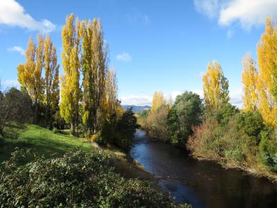 Wild & Fresh Tasmania 2014 秋 8日目後半、9日目 (ホバート～シドニー～成田)