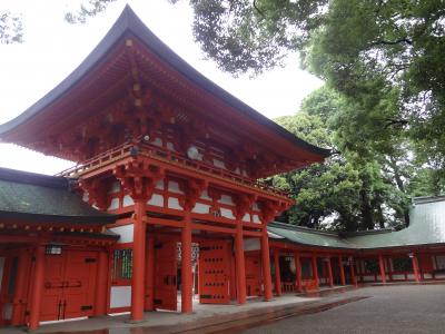 晴女のパワーならず、梅雨入り直後、雨の氷川さん散歩・武蔵一宮　氷川神社