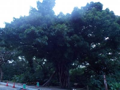 沖縄本島世界遺産巡り一人旅その⑦