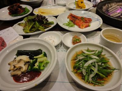 しばらく旅行はおあずけかな?ラストソウル?!高級焼肉だpart6