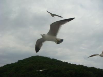 席毛島へ