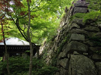 八幡山登山と琵琶湖の夕日!!