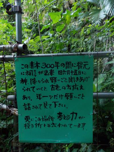 沖縄本島世界遺産巡り一人旅その⑧