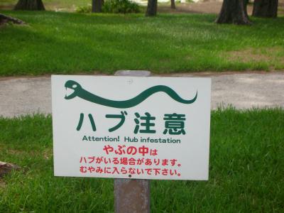 真夏の沖縄本島離島～渡嘉敷島をぶらり一人旅～