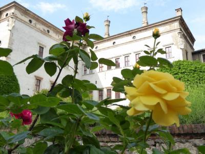 初夏の優雅な北イタリア旅行♪　Ｖｏｌ７４（第５日目午後）　☆トレント（Trento)：Castello del Buonconsiglio（ブオンコンシリオ城）の咲き乱れる美しいバラの園♪