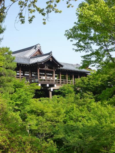 2014年05～06月　 初夏の京都・奈良　母と娘の新緑めぐり旅行 （第１日目）　