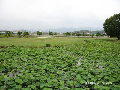 黒田家“礎”の地・備前福岡と天下の奇策「水攻め」の備中高松城を訪ねて/岡山県・岡山市、瀬戸内市