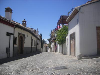 スペイン・ポルトガルの旅 その3 グラナダ編 闘牛 フラメンコ ファド オペラ 鍾乳洞 世界遺産でミサ タパス イベリコ豚 イベント・グルメ盛りだくさんの一人旅