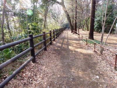 日本の旅　関東地方を歩く　東京都三鷹市（みたかし）の井の頭恩賜公園（いのかしらおんしこうえん）、井の頭自然文化園（いのかしらしぜんぶんかえん）、玉川上水緑道周辺