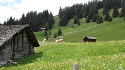 弾丸旅! スイスへ行ってみよう 2014 ①