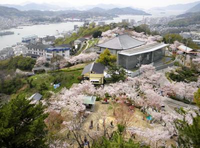 桜の尾道